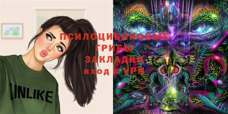 Галлюциногенные грибы MAGIC MUSHROOMS  Лагань 